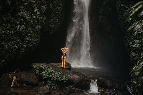 Fotobanka s bezplatnými fotkami na tému dažďový prales, fotografia prírody, hora