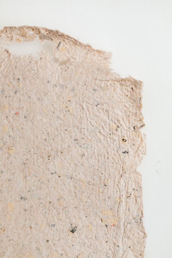 Deckle-edge sheet, freshly pressed — photo by Kaboompics on Pexels