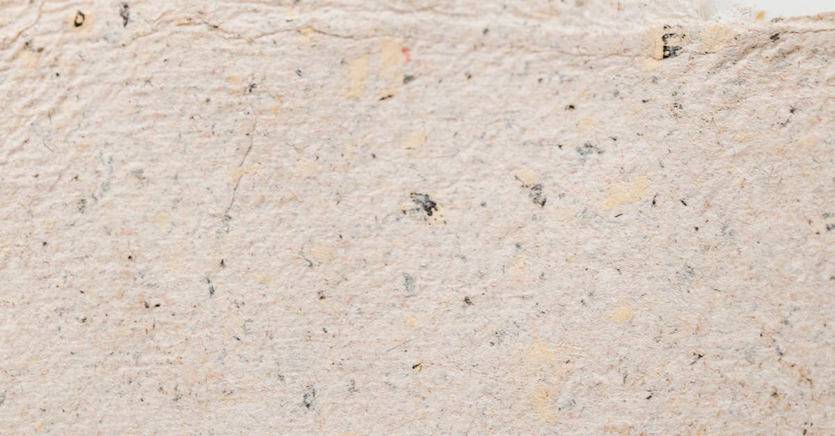 新光三越 RE ACTION 綠循環生活展 盛大登場 三大展區帶你體驗永續生活