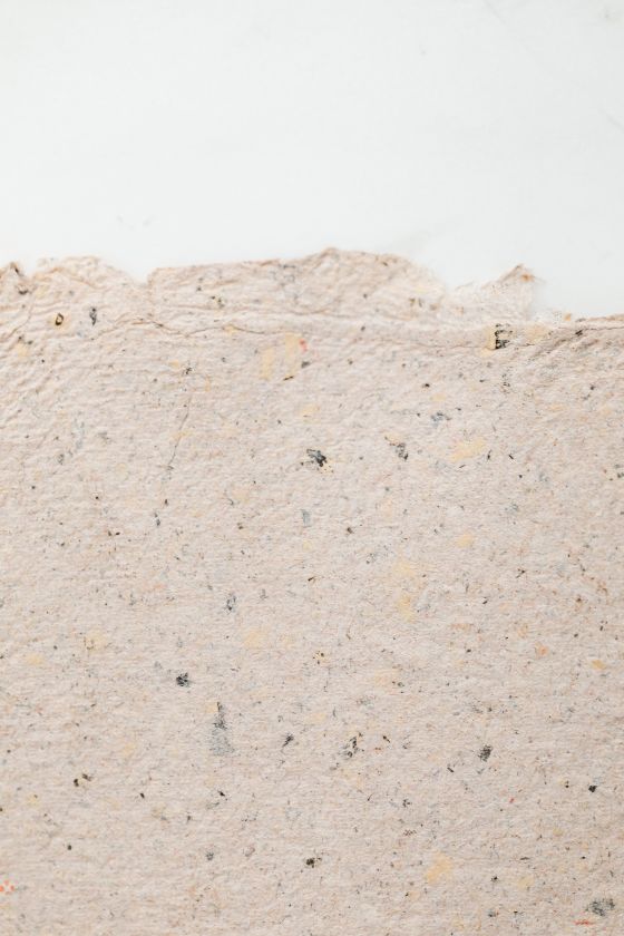 Flecked pulp sheet — photo by Kaboompics on Pexels