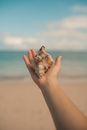 Person Holding Brown and Gray Stone