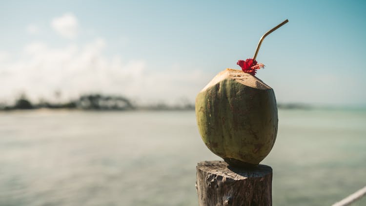 Coconut Drink On Brown Wooden Log