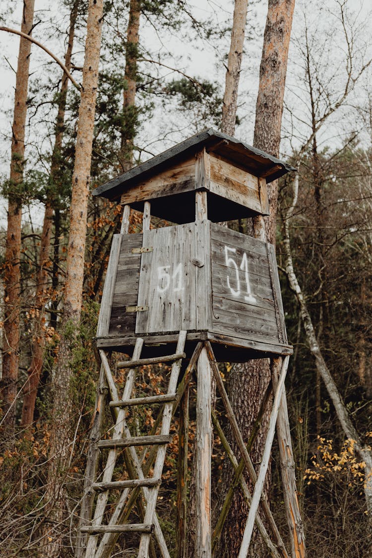 Hunting Pulpit In A Forest 