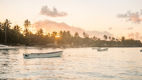 Základová fotografie zdarma na téma čluny, kokosový ořech, moře