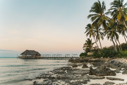 Free Tranquil Zanzibar beach with palm trees and a wooden jetty at sunset, Tanzania, offering a serene seaside escape. Stock Photo