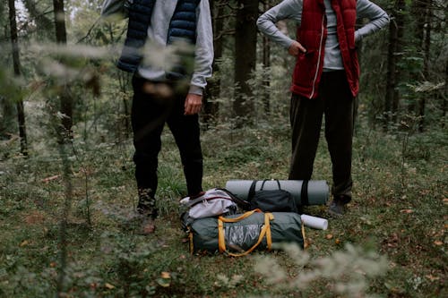 People Standing at the Forest