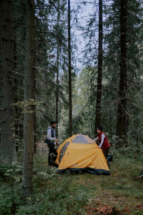 Free A Couple in Forest Stock Photo