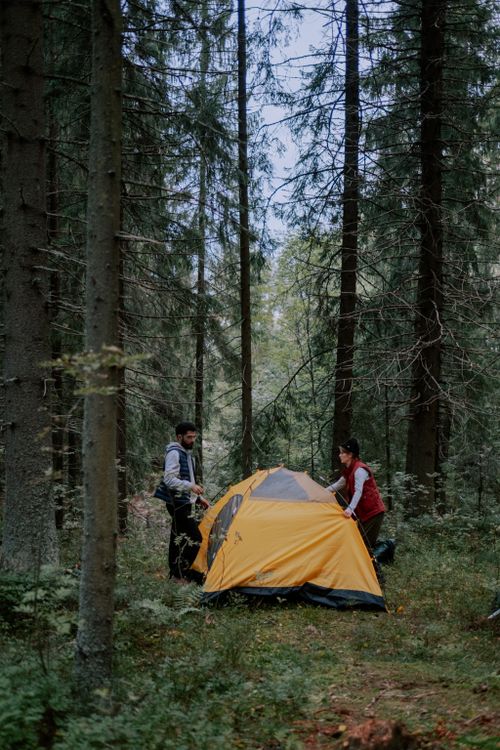Free Two adults setting up a tent in a serene forest, enjoying outdoor leisure and travel adventure. Stock Photo