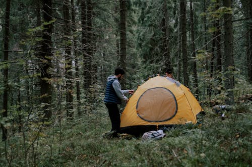 Man Putting Up His Tent in the Forest