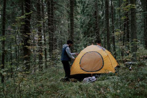 Free A man setting up a yellow tent in a forest, surrounded by tall trees and greenery, ideal for camping and ecotourism. Stock Photo