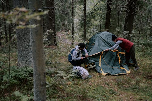 A Couple Setting Up a Tent on Green Grass Near Trees