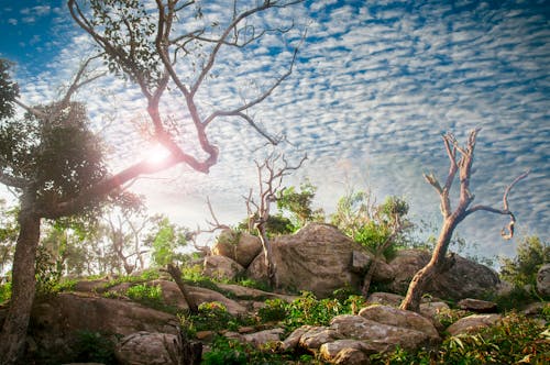 Foto stok gratis langit cerah, matahari terang