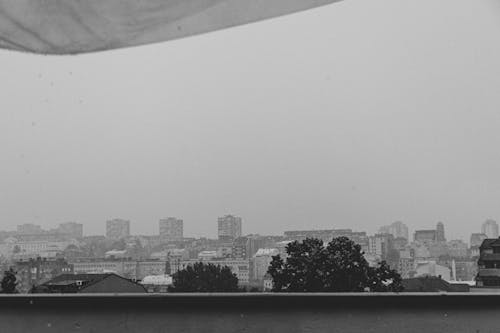Black and white from balcony view of cityscape with contemporary residential buildings and trees on overcast gloomy day