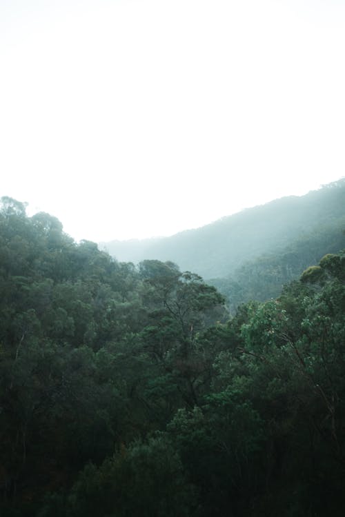 Foto stok gratis alam, australia, fotografi udara