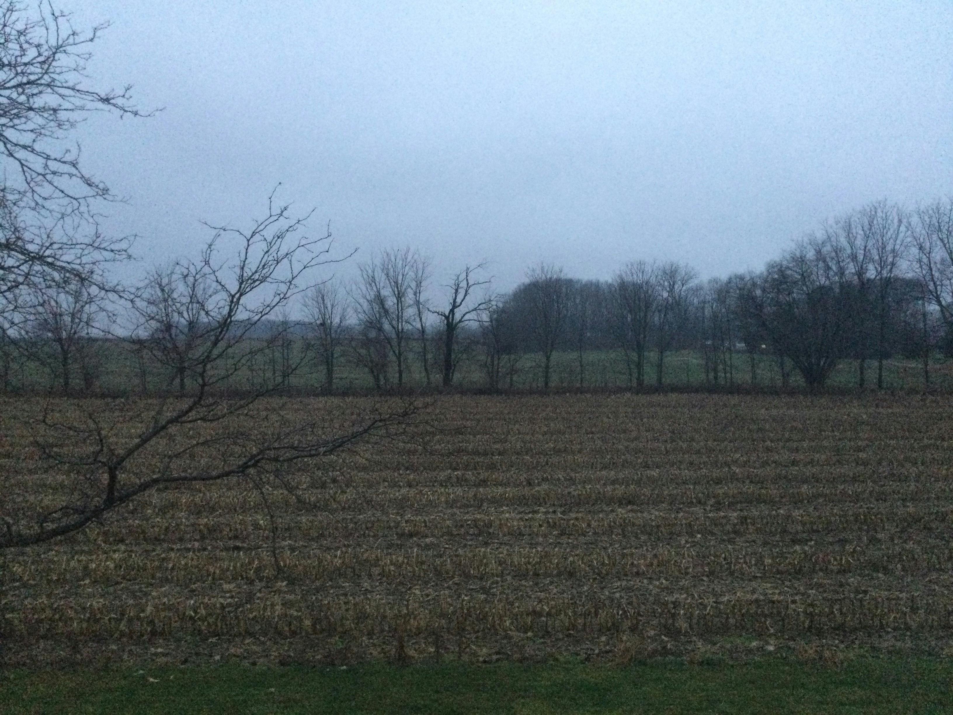 Chaudière à bois moderne