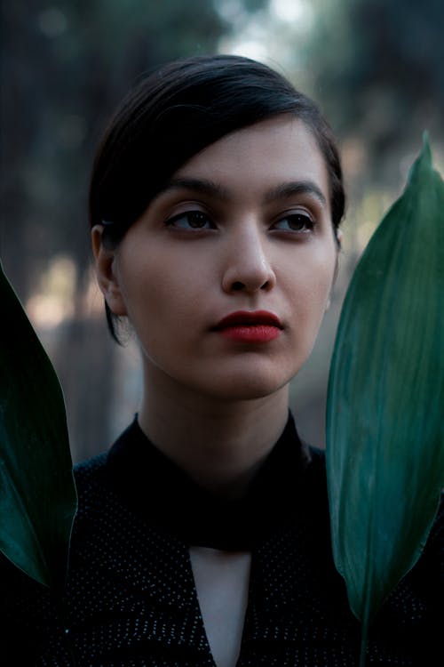 Young dreamy female in black clothes standing with verdant leaves on blurred woodland background and looking away