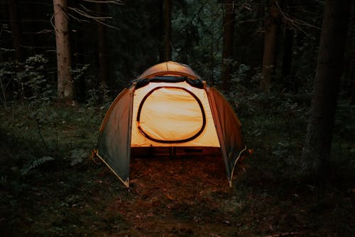 ağaçlar, çadır, kamp içeren Ücretsiz stok fotoğraf