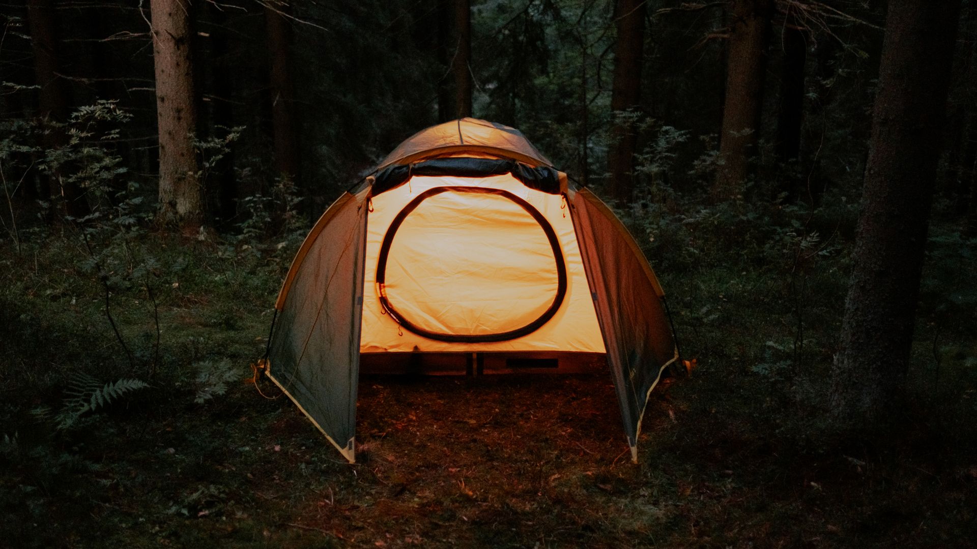 Suasana malam glamping Korea Selatan dengan tenda dan pencahayaan hangat