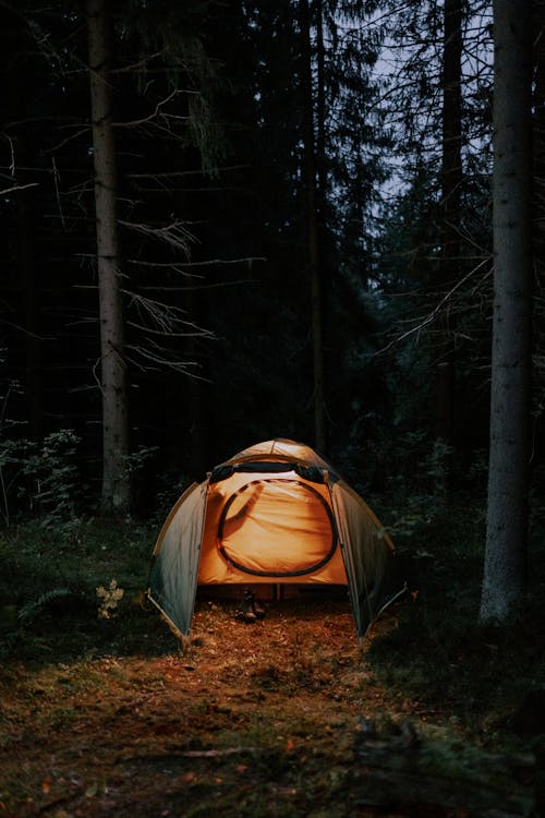 Brown Tent on Forest