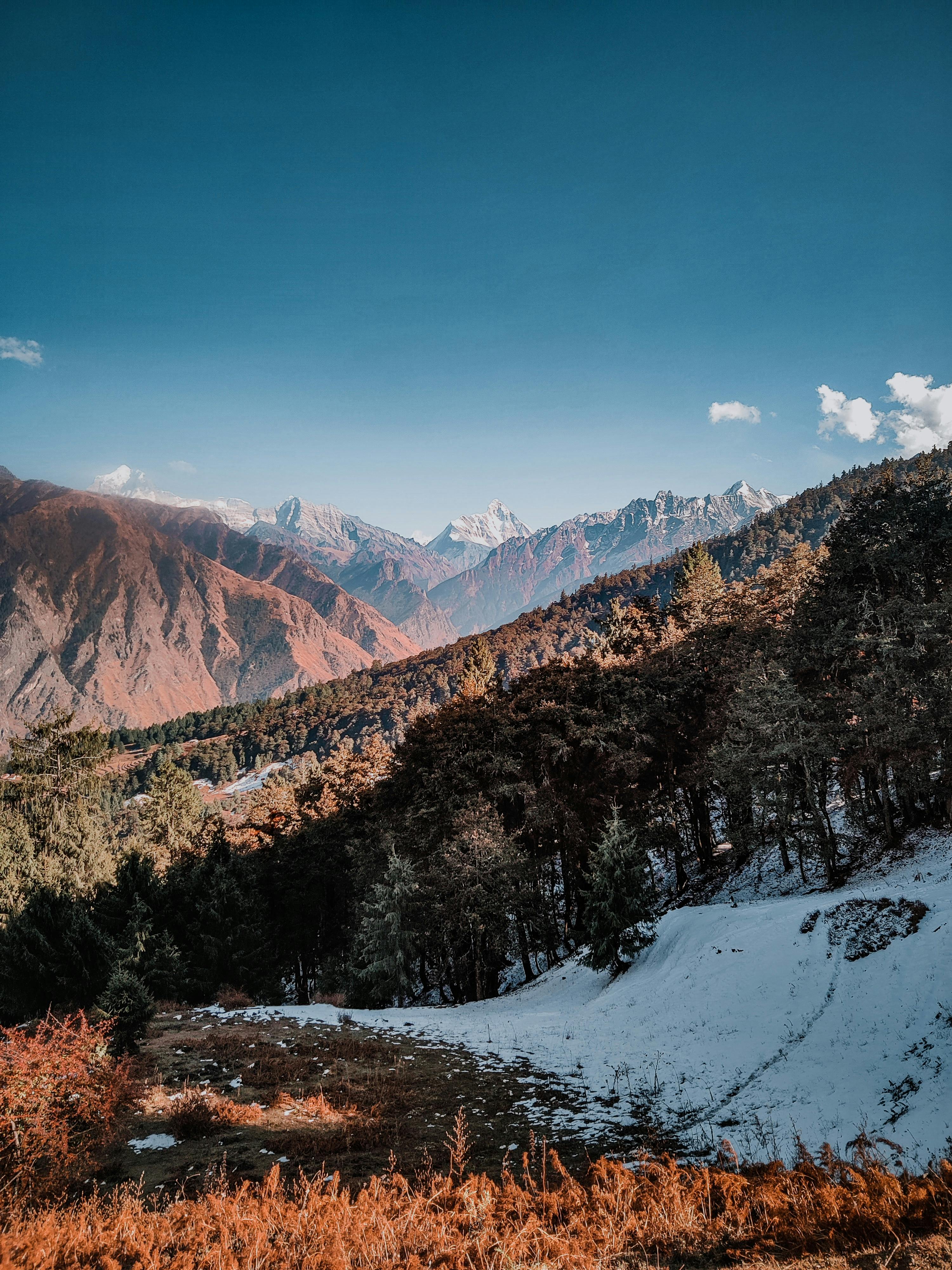 Breathtaking mountain view with snow-covered peaks and lush forest in winter.