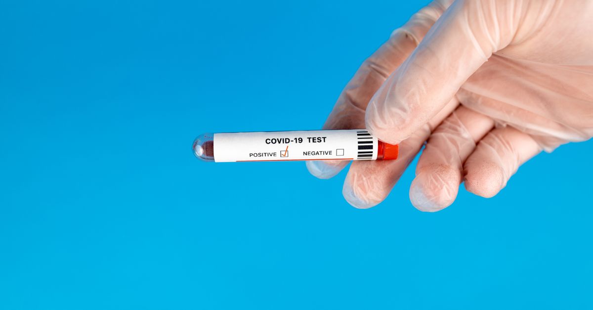 Molbio Diagnostics Reports Rs 52.7 Crore Profit in Q1 Following IPO