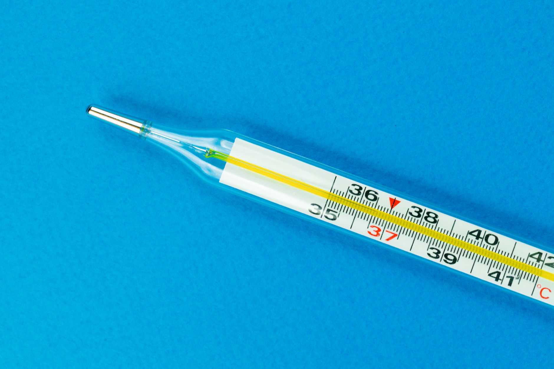 bratenthermometer 2026 Fazit