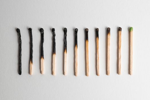A minimalist still life of burnt matchsticks on a white background symbolizes resilience and renewal.