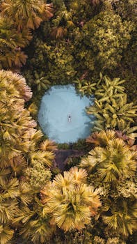 Captivating aerial shot showcasing a tranquil lagoon surrounded by lush Brazilian rainforest.