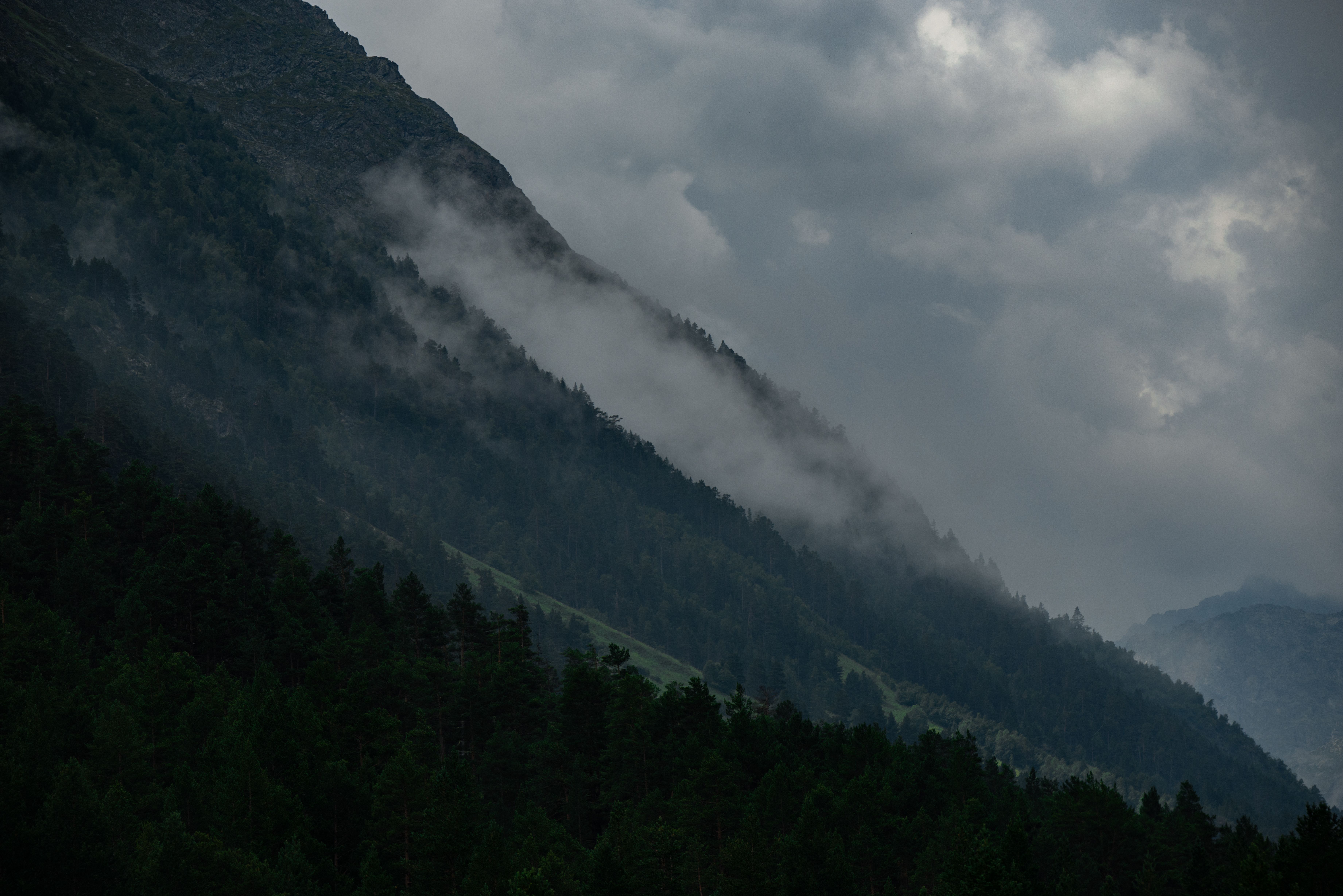 Montanhas com neblina e vegetação intensa