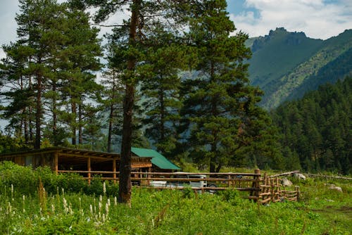 Ảnh lưu trữ miễn phí về cabin gỗ, cây xanh, chụp ảnh thiên nhiên