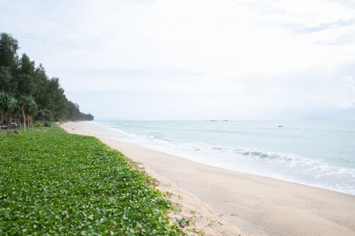 Free Peaceful beach view with green foliage and ocean waves in Na Toei, Thailand. Stock Photo