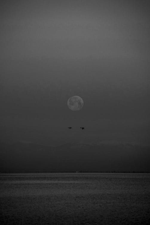 Grayscale Photography of Full Moon Over the Sea