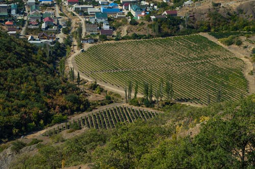 Gratis lagerfoto af droneoptagelse, huse, landet