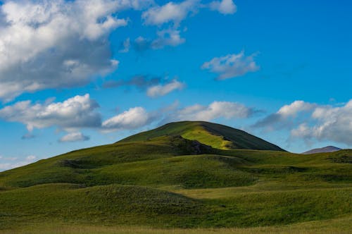 Green Grass Field Under Blue Sky