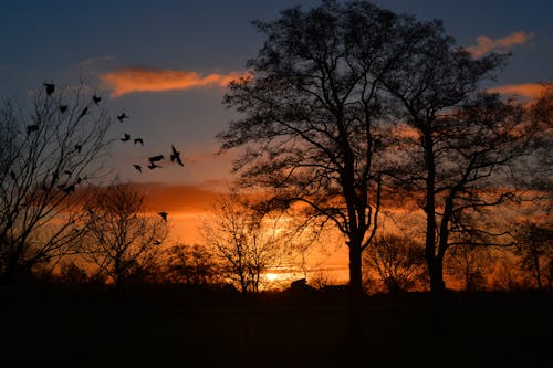 Ilmainen kuvapankkikuva tunnisteilla aamu, auringonlasku, auringonnousu