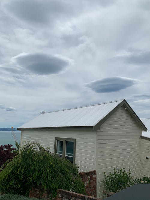 Department of Family Services