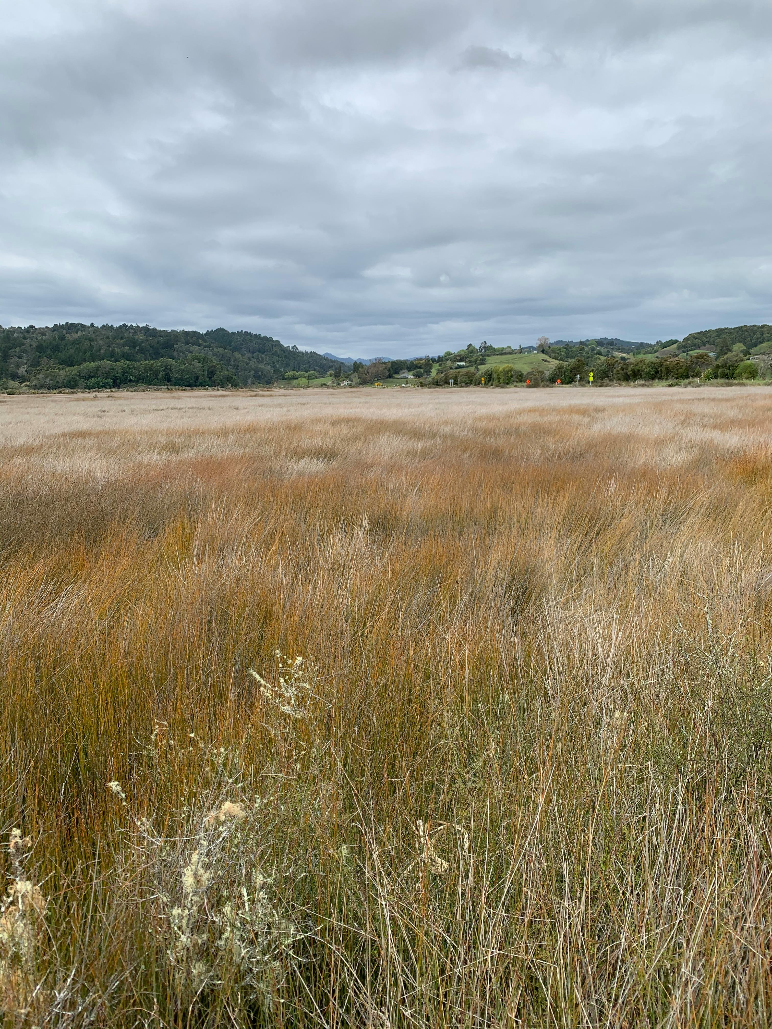 Health Insurance Guide