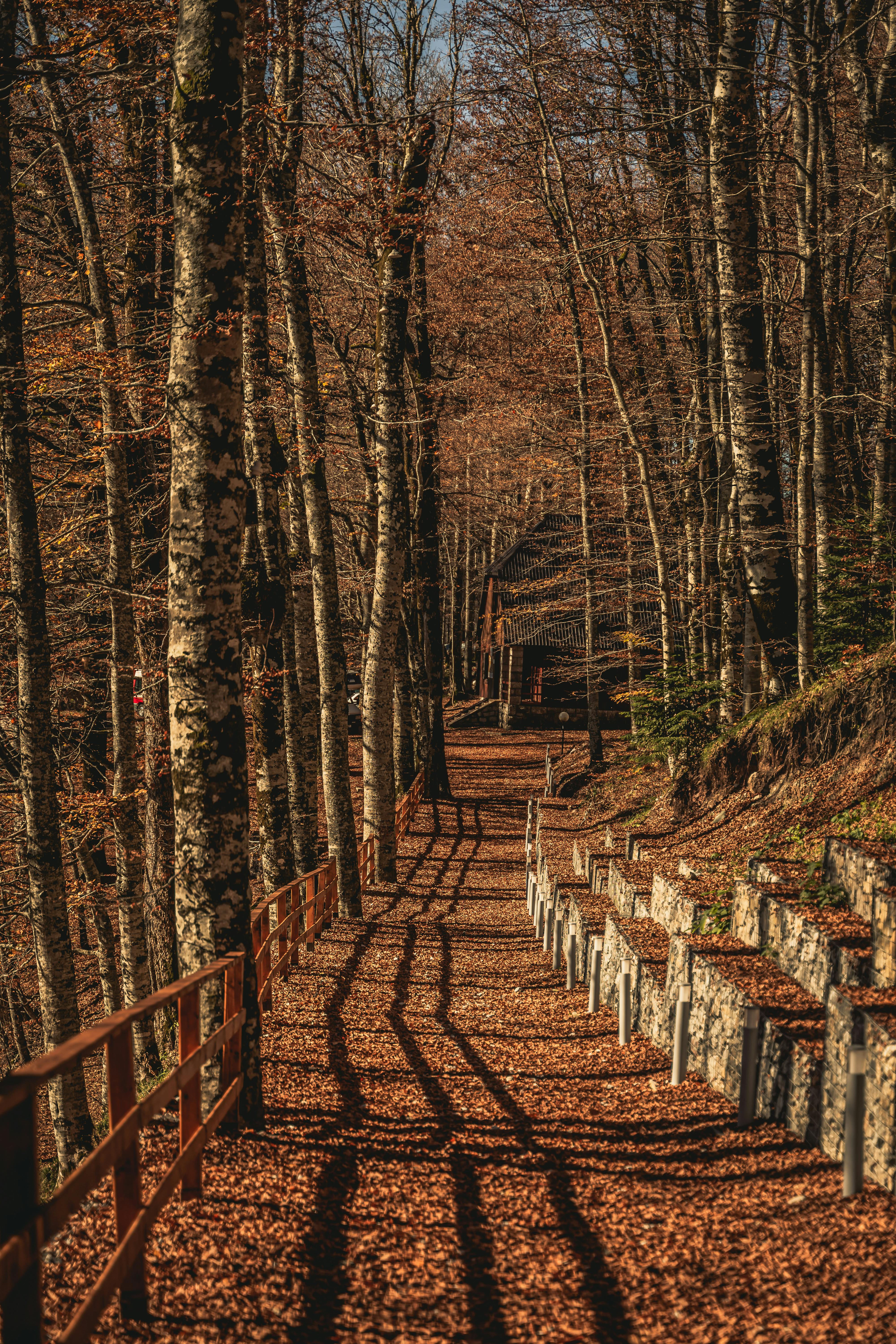 Traveler planning a trip with a notebook, map, and laptop on a wooden table