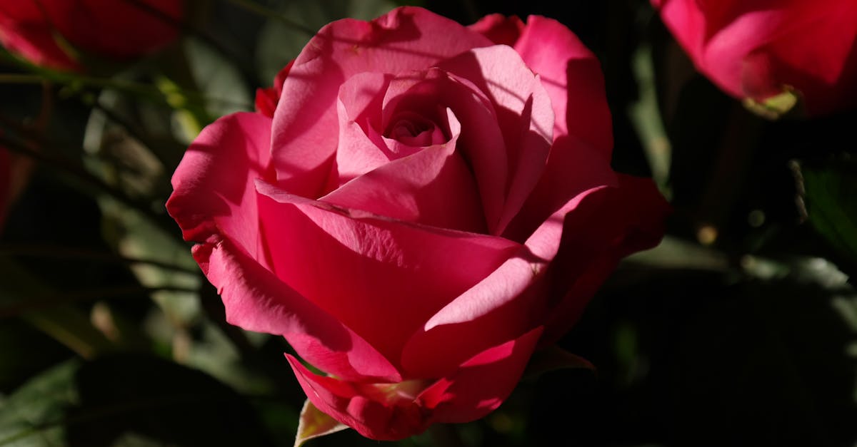 金爵獎國際餐飲暨旅遊大賽 蘇琬筠調飲奪金