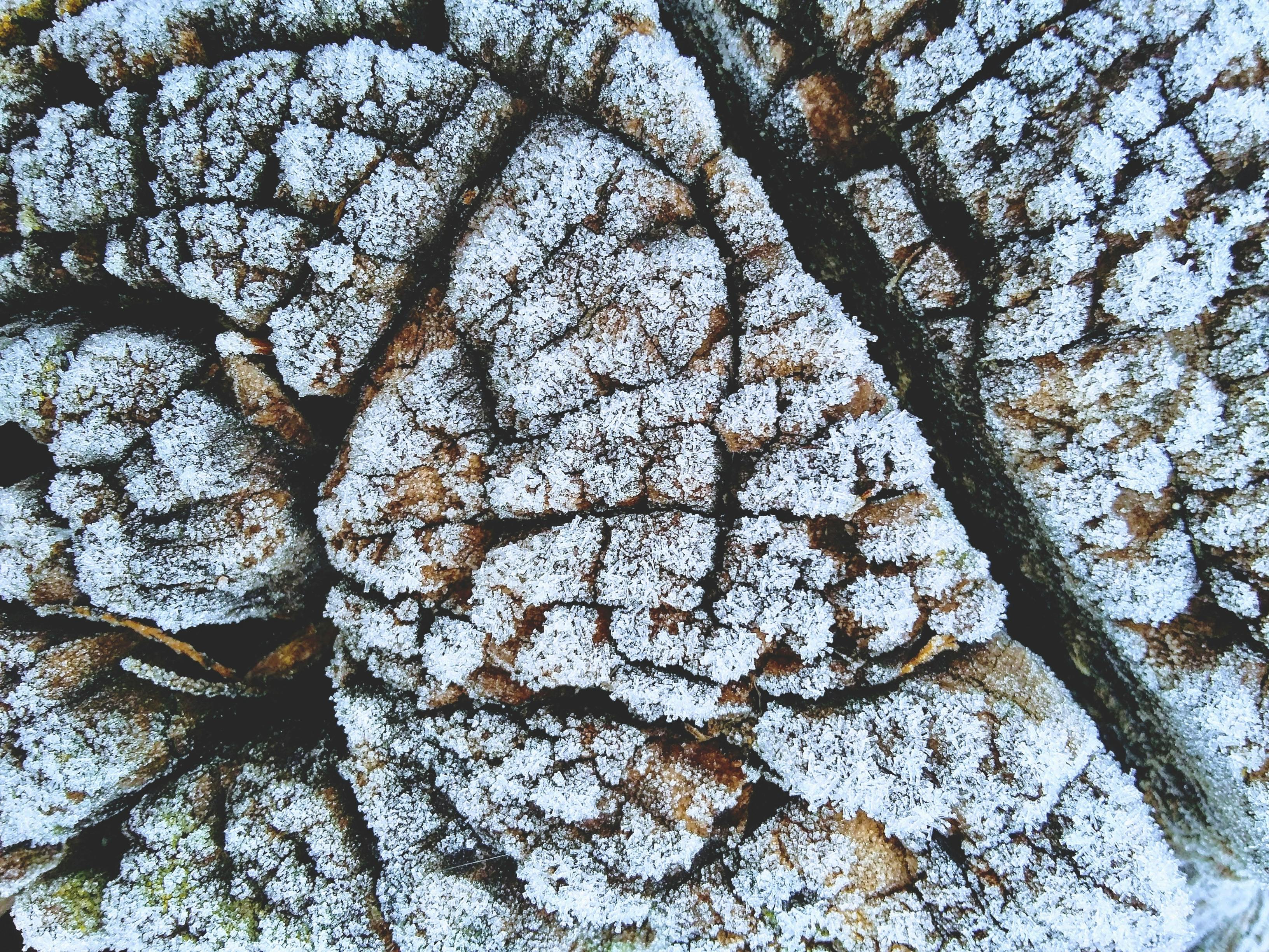 Solid Electrolyte Dendrite Growth 2026: Nature Study Reveals Critical Link