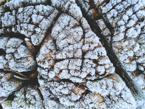 Kostenloses Stock Foto zu aufsicht, boden, draußen