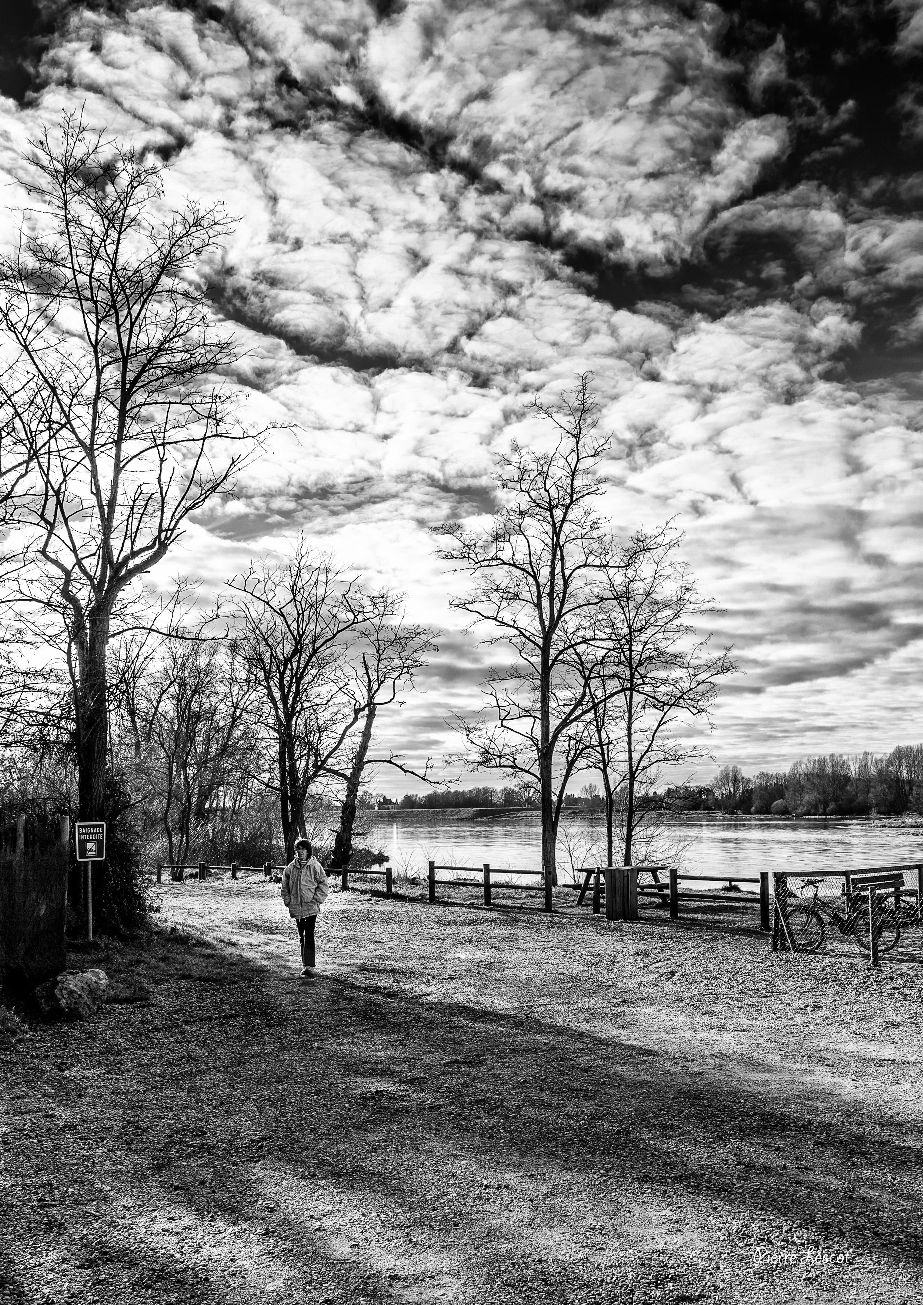 Grayscale Photo of a Person Standing on a Park · Free Stock Photo