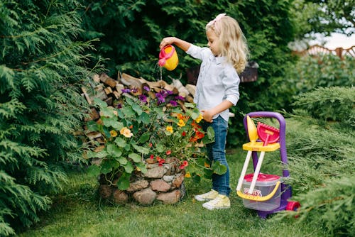 Free A Young Girl Watering a Plants Stock Photo