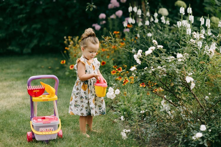 A Young Girl Watering A Plants