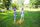 kids playing outside