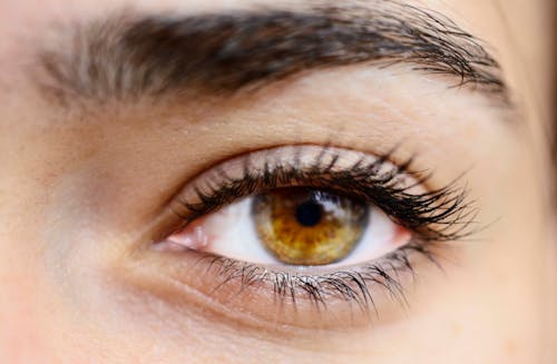 Woman's Brown Eye