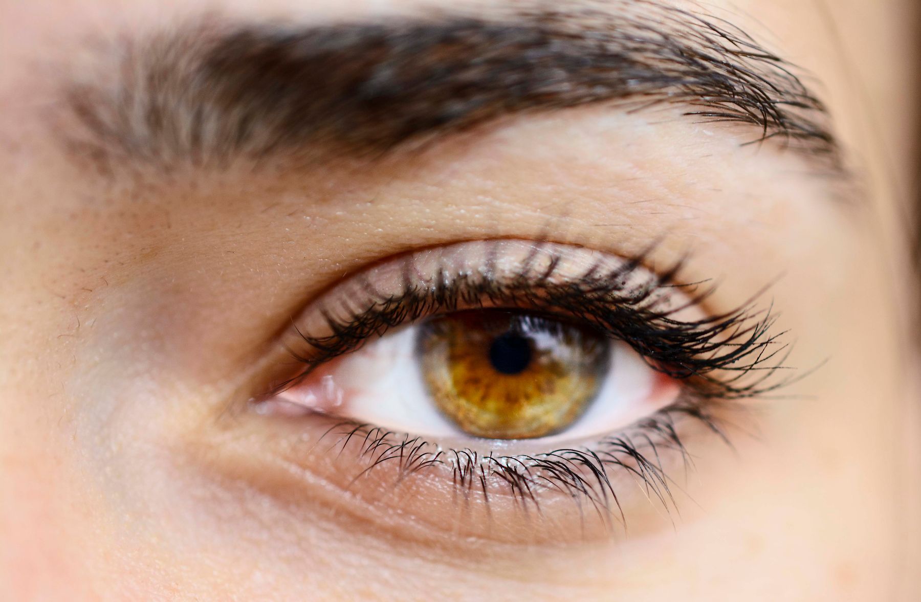 Close view of a hazel eye and a natural brow