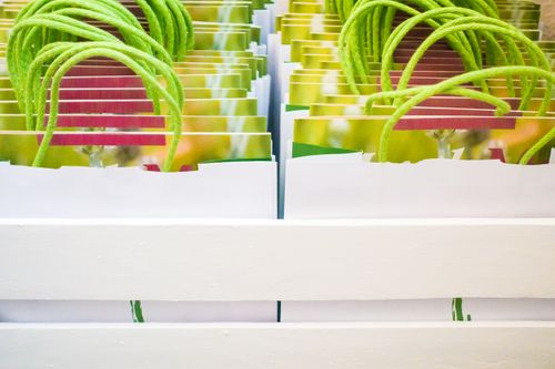 Free Vibrant paper gift bags with green rope handles in a crate. Stock Photo