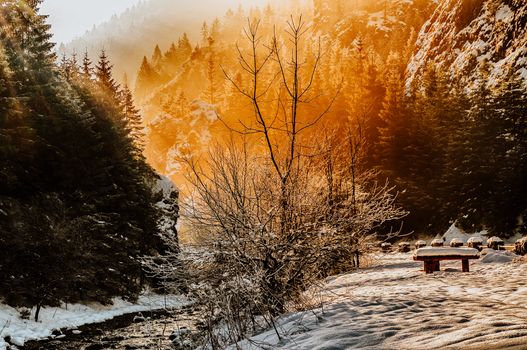 Beautiful winter landscape in Slovensko with snow-covered trees, a frosty river, and warm sunset light.