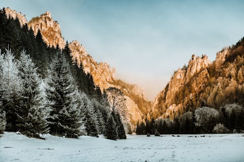シーズン, 冬, 山岳の無料の写真素材